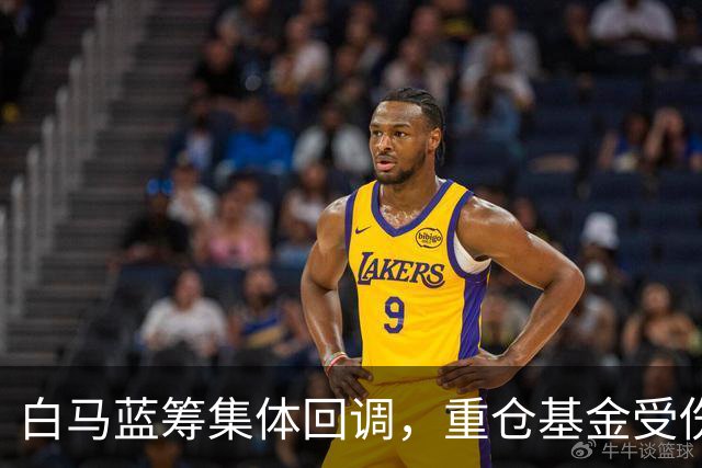 白马蓝筹集体回调，重仓基金受伤有多深？